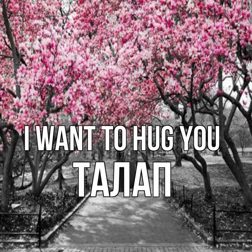 Greetings card с именем, ТАЛАП I want to hug you обработанное фото Greetings with text for free download 