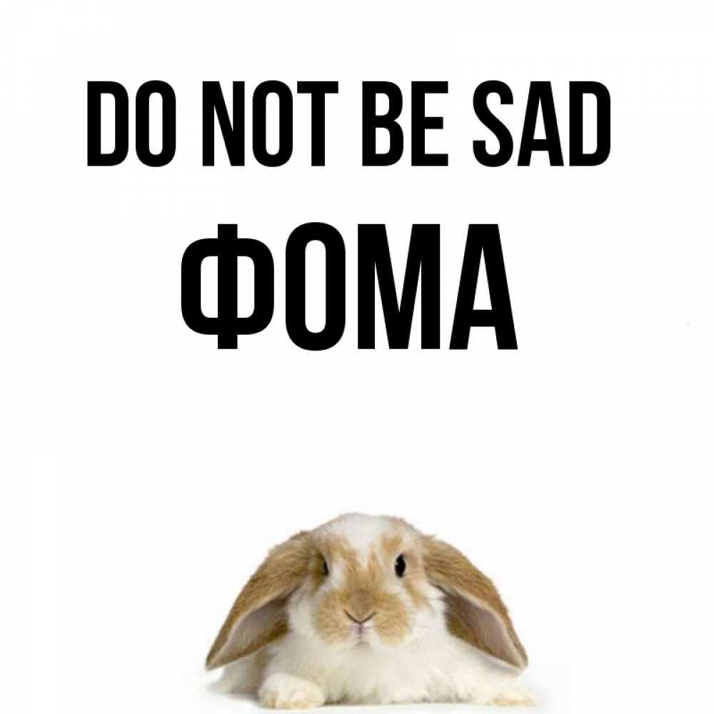 Greetings card с именем, Фома Do not be sad коричнево белый заяц с большими ушками Greetings with text for free download 