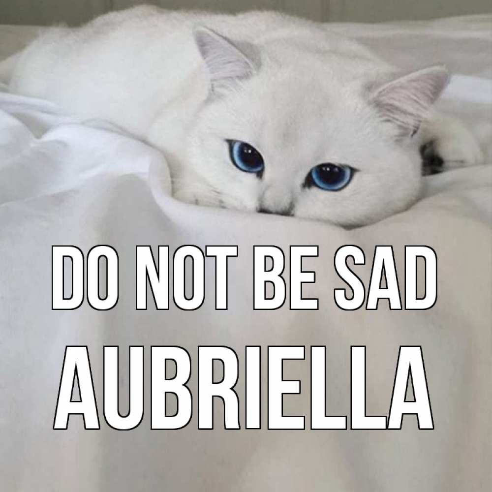 Greetings card с именем, Aubriella Do not be sad белый кот с голубыми глазами на белоснежной кровати Greetings with text for free download 