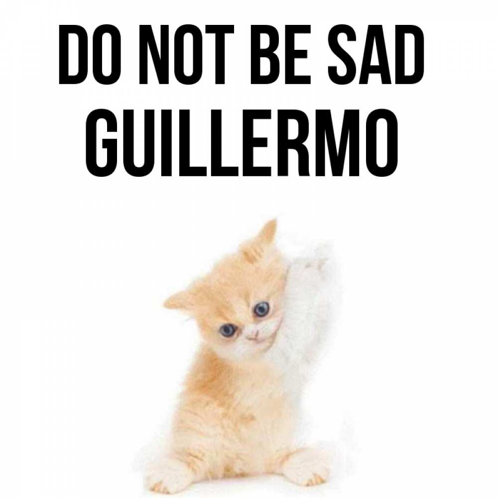Greetings card с именем, Guillermo Do not be sad просящий кот Greetings with text for free download 