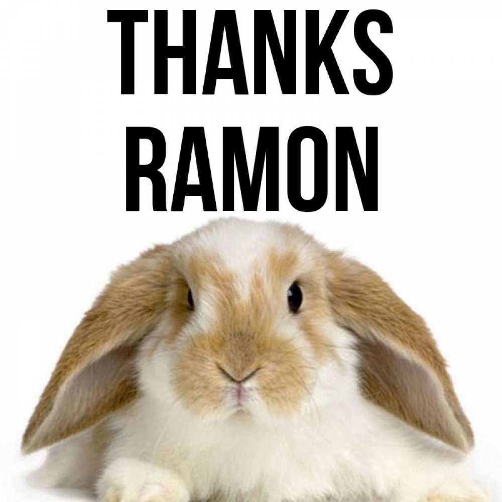 Greetings card с именем, Ramon Thanks коричнево белый заяц Greetings with text for free download 