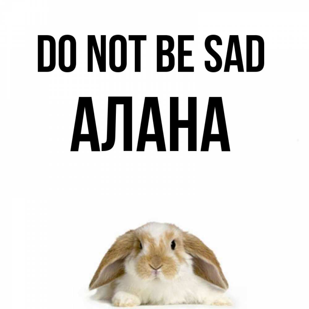 Greetings card с именем, Алана Do not be sad коричнево белый заяц с большими ушками Greetings with text for free download 