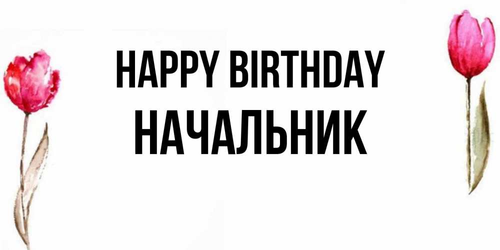 Greetings card с именем, Начальник Happy Birthday открытки акварелью с цветами Greetings with text for free download 