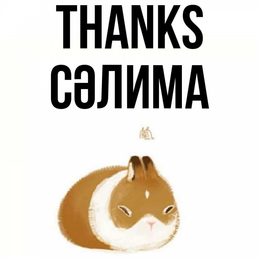 Greetings card с именем, СӘЛИМА Thanks коричнево белый домашний питомец Greetings with text for free download 