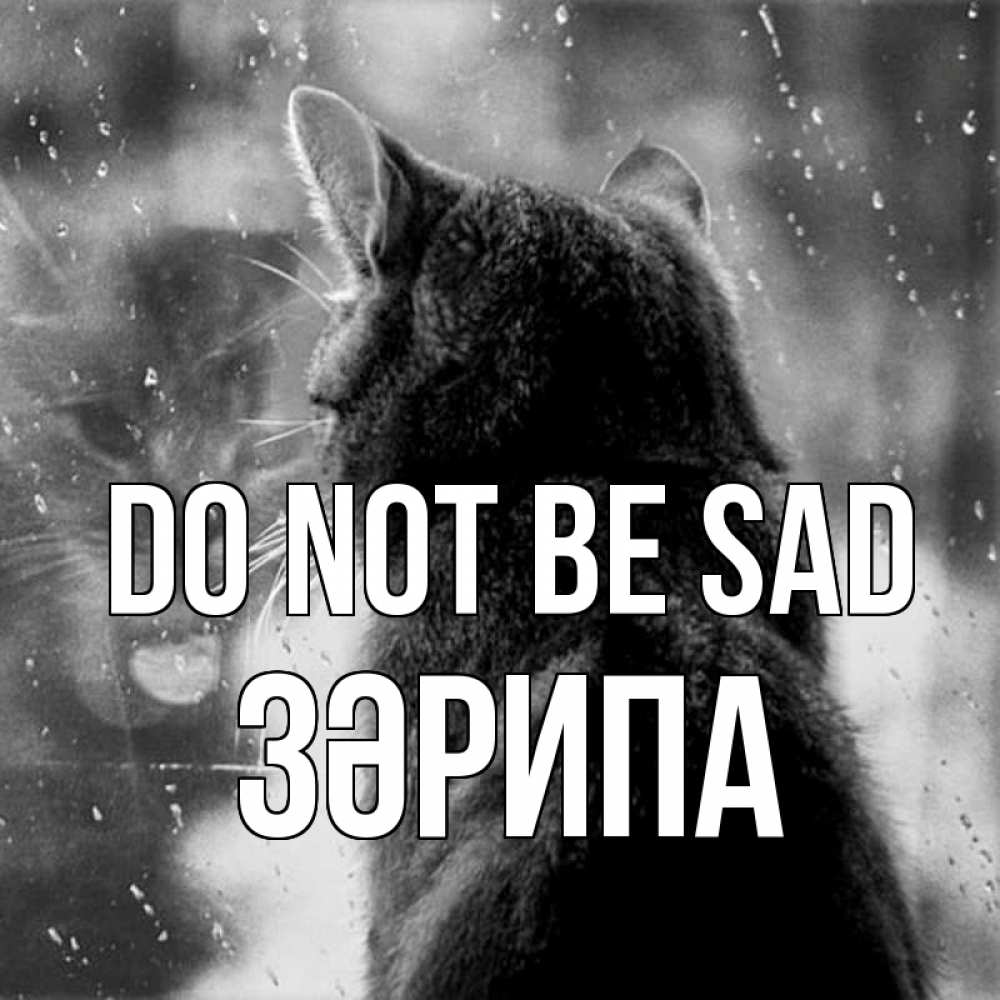 Greetings card с именем, ЗӘРИПА Do not be sad отражение кота 1 Greetings with text for free download 