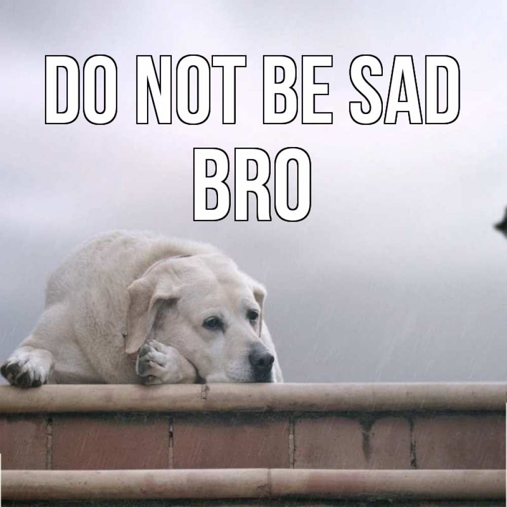 Greetings card с именем, bro Do not be sad белый пес 1 Greetings with text for free download 