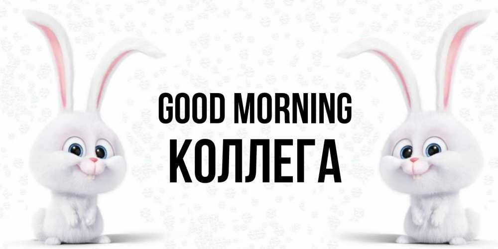 Greetings card с именем, Коллега Good morning кролики с длинными ушками Greetings with text for free download 