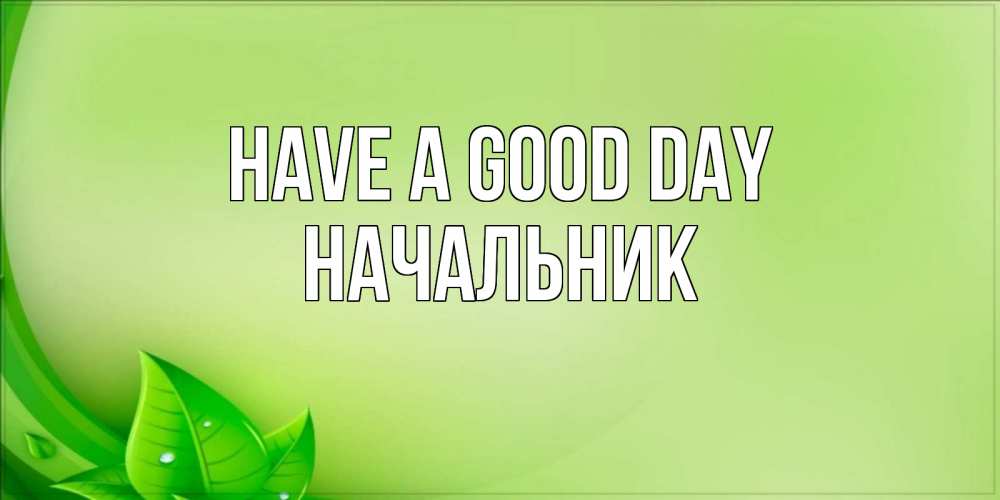 Greetings card с именем, Начальник Have a good day зеленая тема Greetings with text for free download 