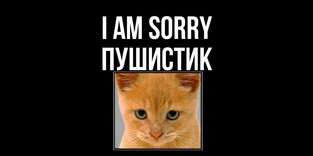 Greetings card с именем, Пушистик I am sorry рыжий грустный кот просит прощения Greetings with text for free download 