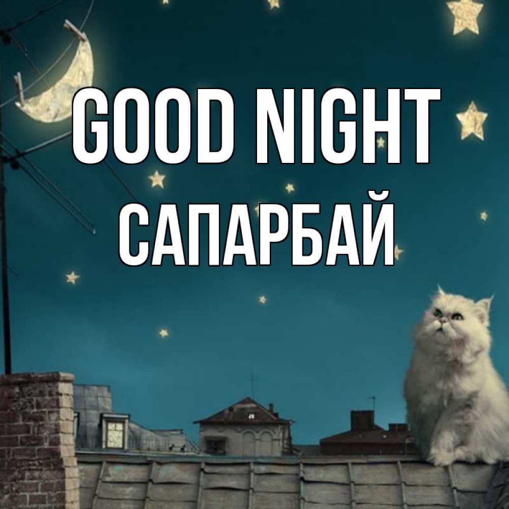 Greetings card с именем, САПАРБАЙ Good night белый кот сидит на крыше Greetings with text for free download 