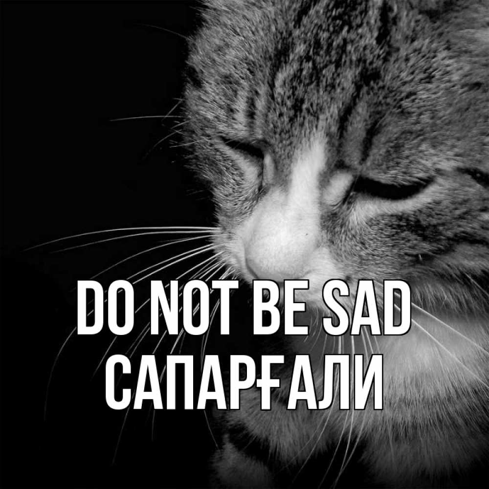 Greetings card с именем, САПАРҒАЛИ Do not be sad грустный котик Greetings with text for free download 