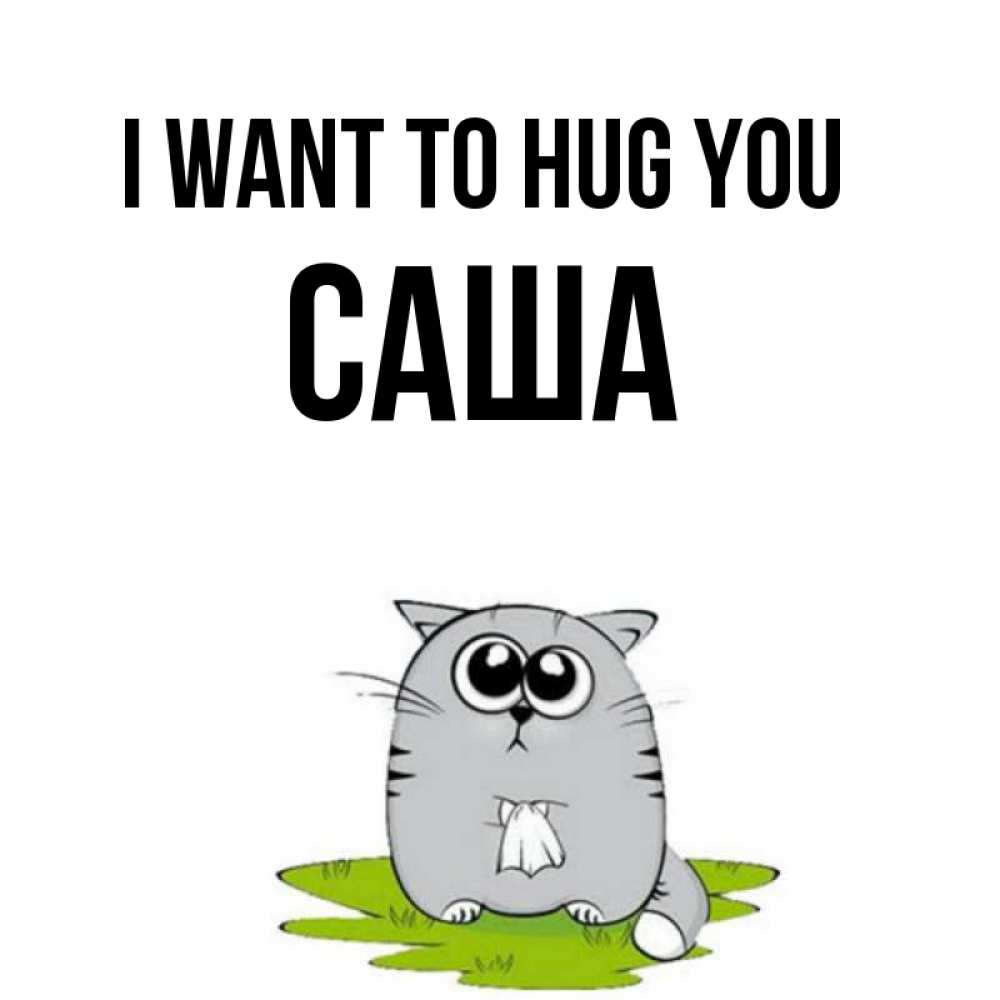 Greetings card с именем, Саша I want to hug you котик теребит платочек сидя на травке Greetings with text for free download 