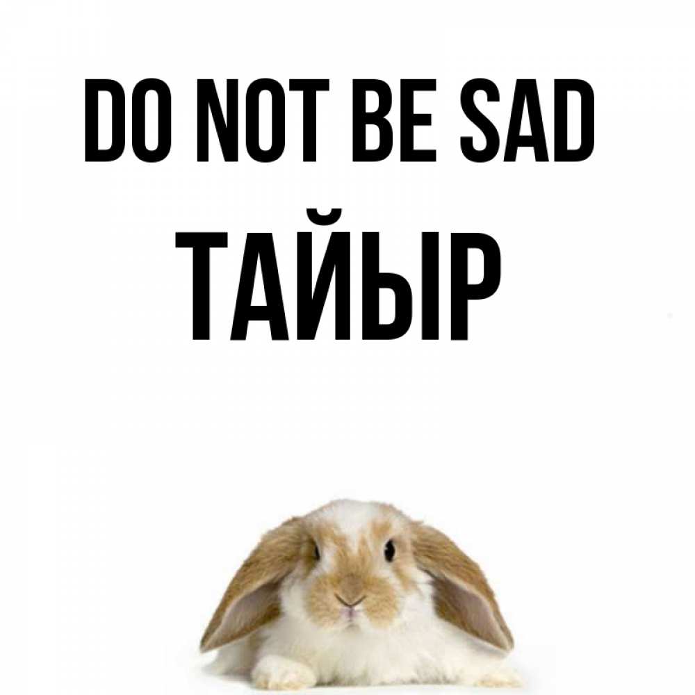 Greetings card с именем, ТАЙЫР Do not be sad коричнево белый заяц с большими ушками Greetings with text for free download 