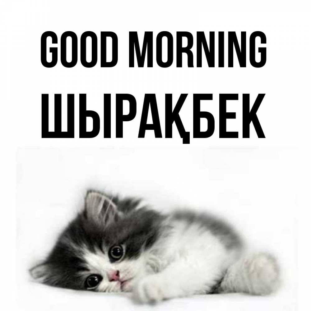 Greetings card с именем, ШЫРАҚБЕК Good morning кот лапки Greetings with text for free download 