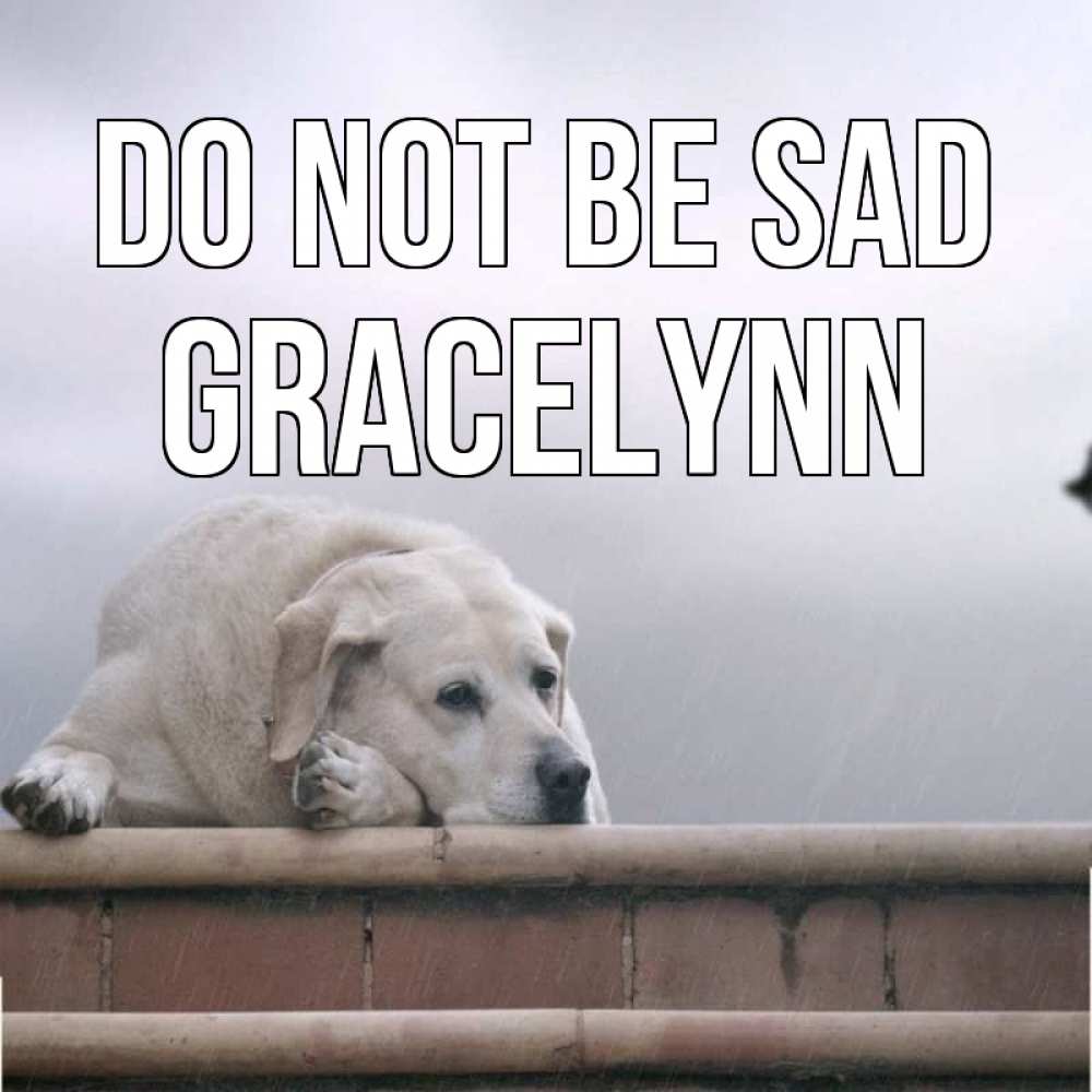 Greetings card с именем, Gracelynn Do not be sad белый пес 1 Greetings with text for free download 