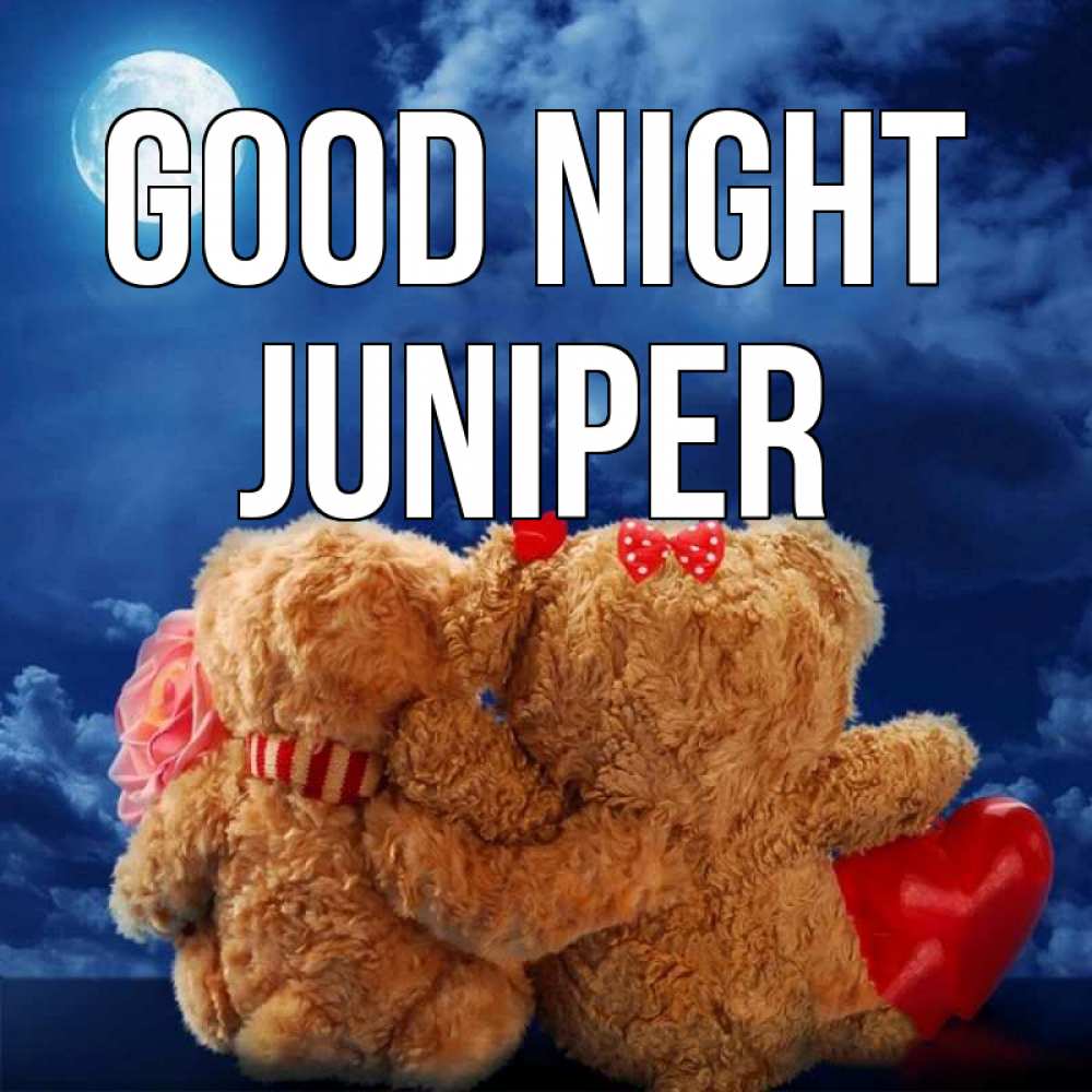 Greetings card с именем, Juniper Good night плюшевые Greetings with text for free download 