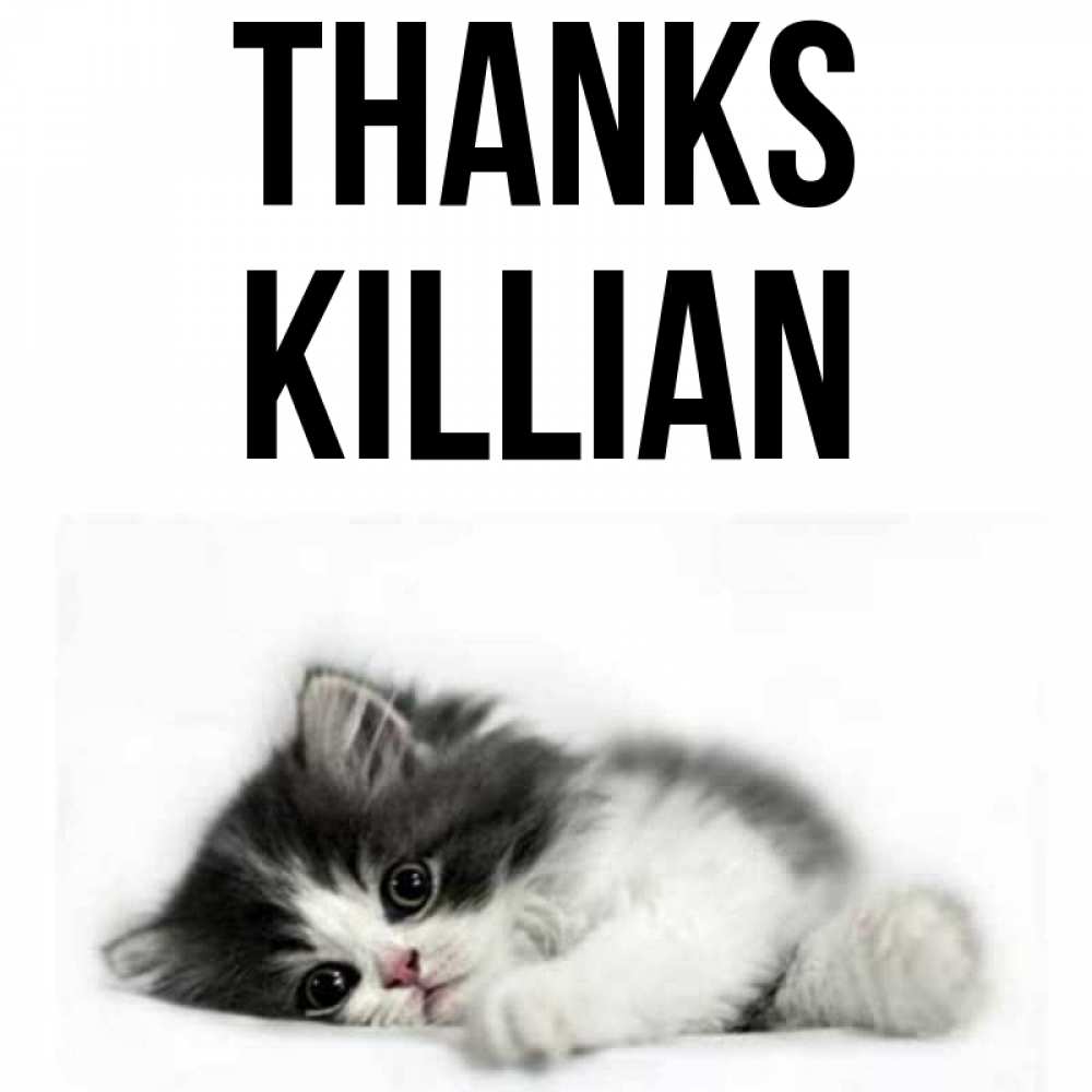 Greetings card с именем, Killian Thanks черный и белый кот Greetings with text for free download 