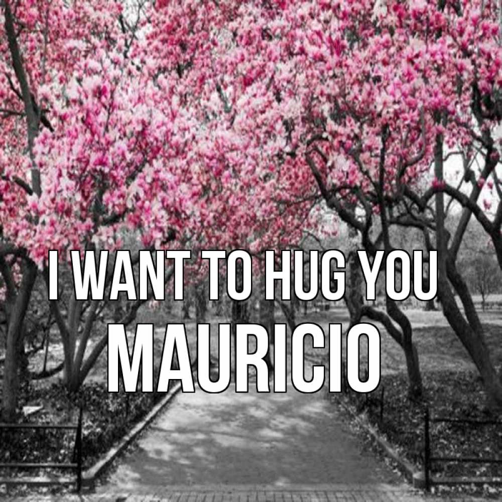 Greetings card с именем, Mauricio I want to hug you обработанное фото Greetings with text for free download 