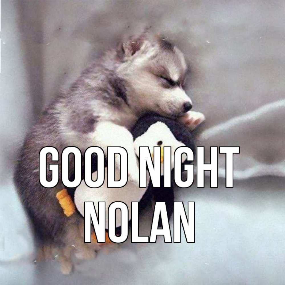 Greetings card с именем, Nolan Good night обнимашки щенка и пингвина Greetings with text for free download 