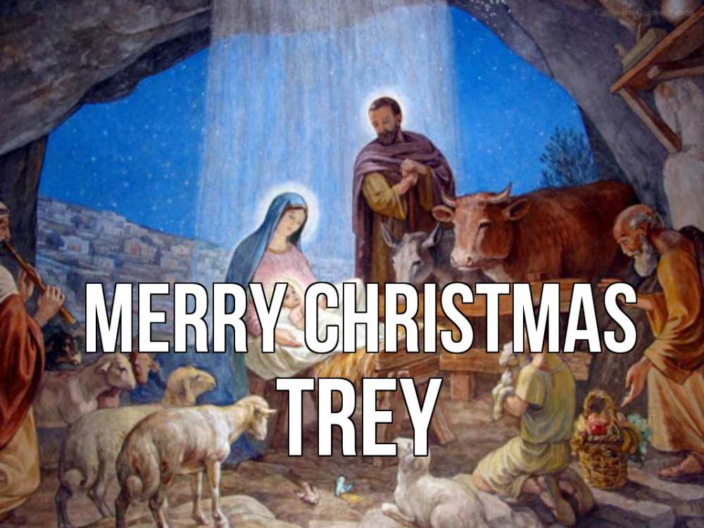 Greetings card с именем, Trey Merry Christmas Хлев с животными, Иисус, рождество Greetings with text for free download 