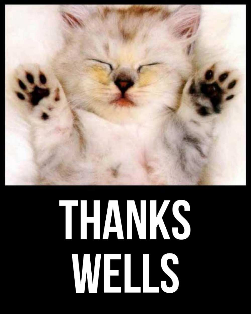 Greetings card с именем, Wells Thanks маленький котенок Greetings with text for free download 