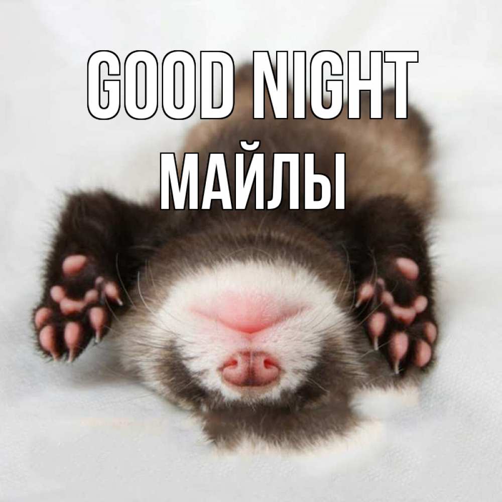 Greetings card с именем, МАЙЛЫ Good night зверек Greetings with text for free download 