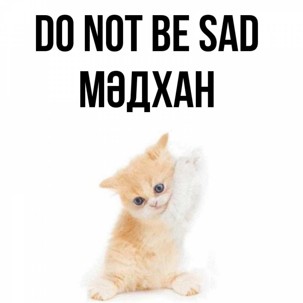 Greetings card с именем, МӘДХАН Do not be sad просящий кот Greetings with text for free download 