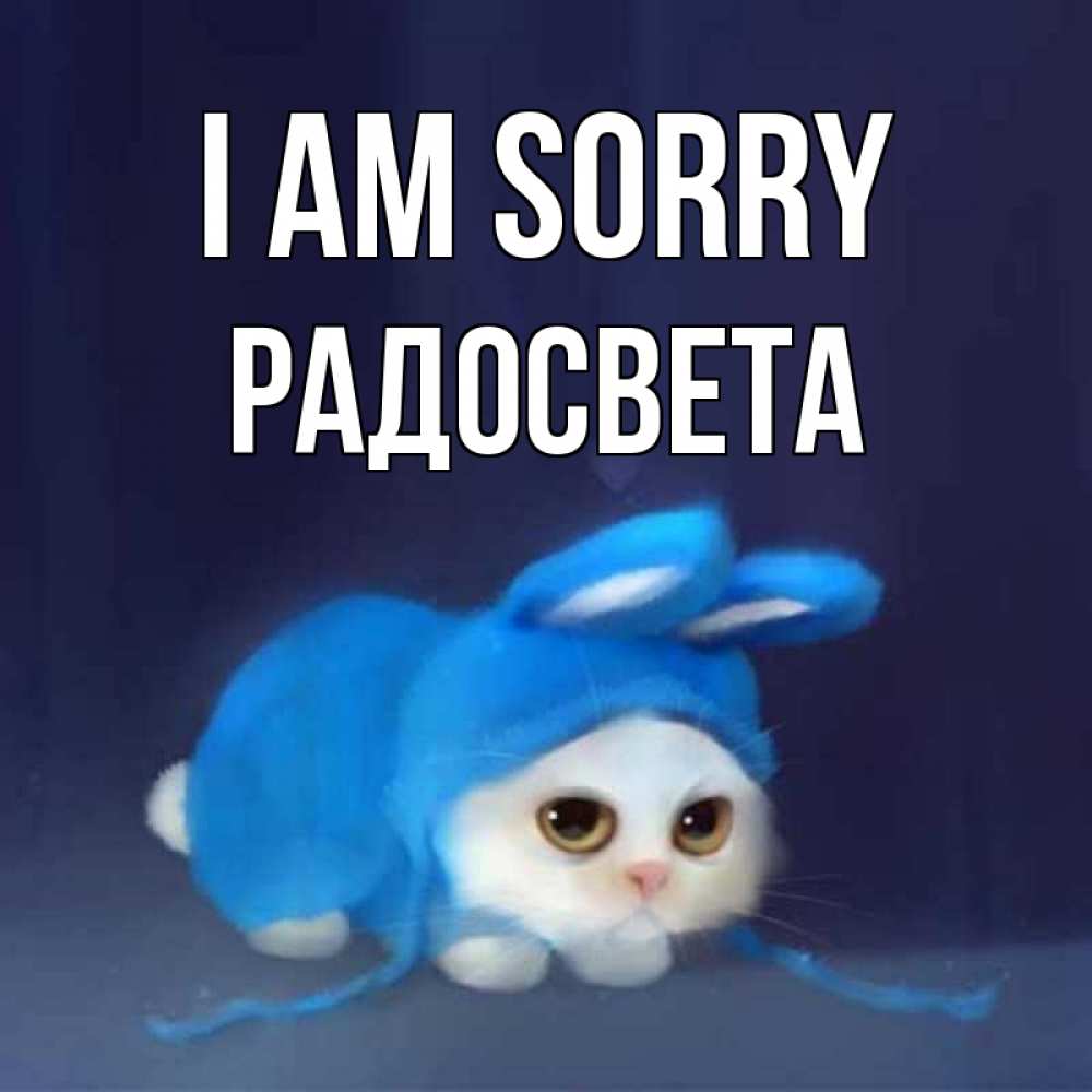 Greetings card с именем, Радосвета I am sorry невинный котозай просит прощения Greetings with text for free download 