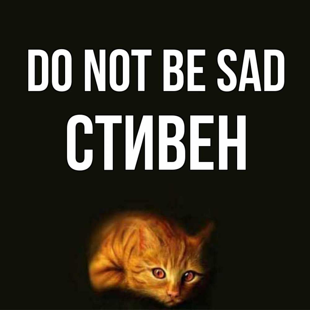 Greetings card с именем, Стивен Do not be sad лежащий кот в темноте Greetings with text for free download 