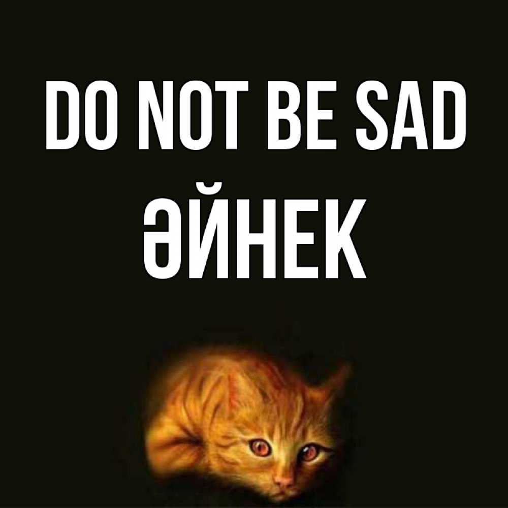 Greetings card с именем, ӘЙНЕК Do not be sad лежащий кот в темноте Greetings with text for free download 