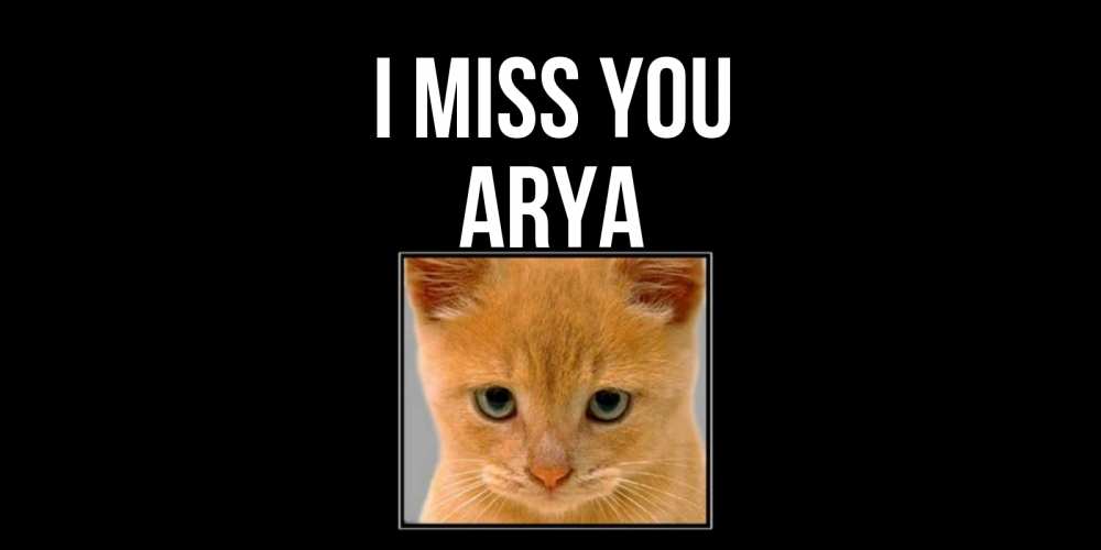 Greetings card с именем, Arya I miss you открытки рыжий котенок скучает по тебе Greetings with text for free download 