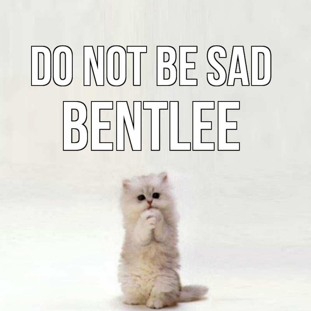 Greetings card с именем, Bentlee Do not be sad грустный кот Greetings with text for free download 