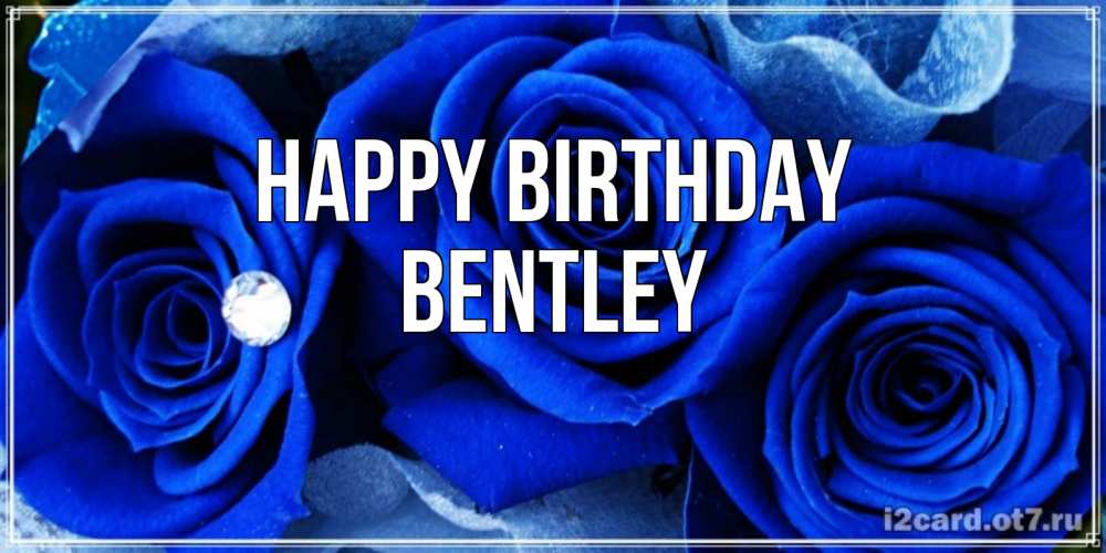 Greetings card с именем, Bentley Happy Birthday синие розы в росе Greetings with text for free download 