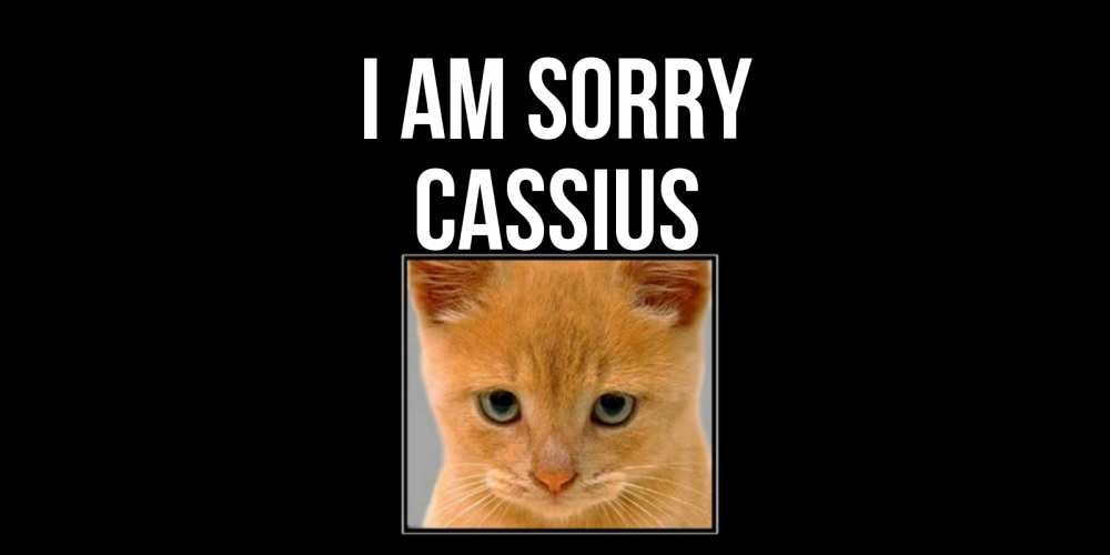 Greetings card с именем, Cassius I am sorry рыжий грустный кот просит прощения Greetings with text for free download 