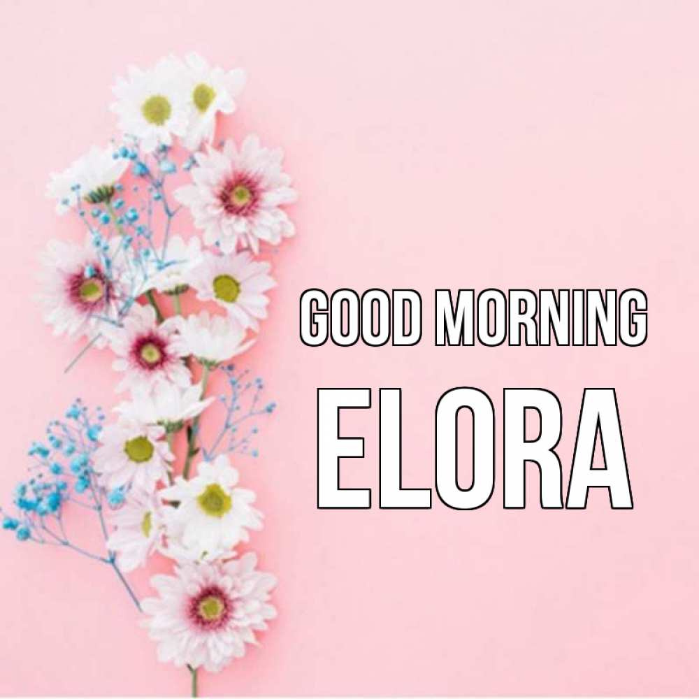 Greetings card с именем, Elora Good morning цветы с подписью Greetings with text for free download 