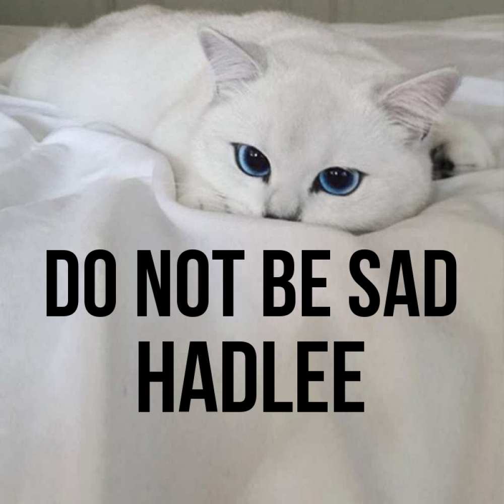 Greetings card с именем, Hadlee Do not be sad Голубоглазая кошка Greetings with text for free download 