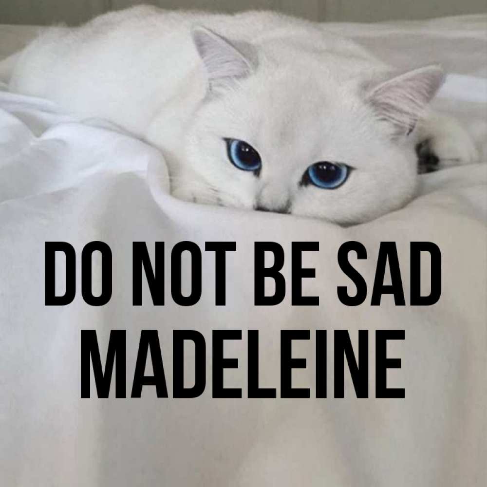 Greetings card с именем, Madeleine Do not be sad Голубоглазая кошка Greetings with text for free download 
