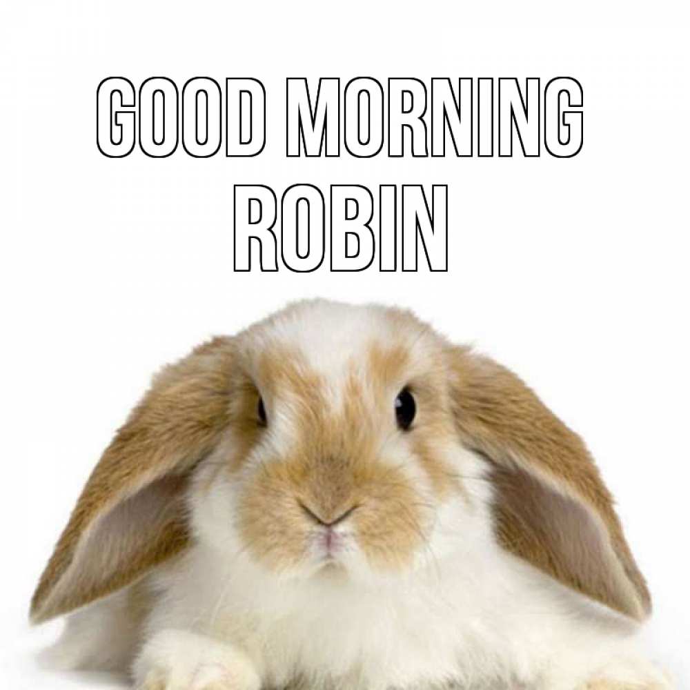 Greetings card с именем, Robin Good morning прикольные открытки на каждый день Greetings with text for free download 