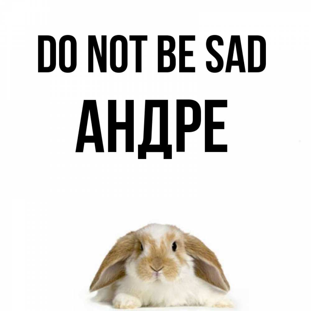 Greetings card с именем, Андре Do not be sad коричнево белый заяц с большими ушками Greetings with text for free download 