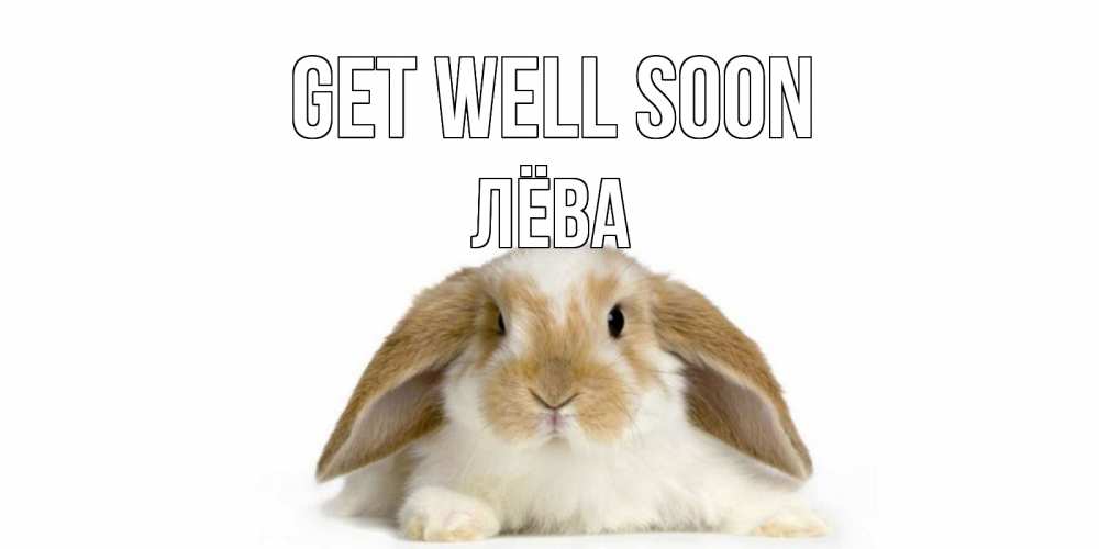 Greetings card с именем, Лёва Get well soon вислоухий кролик белого и коричневого цвета Greetings with text for free download 