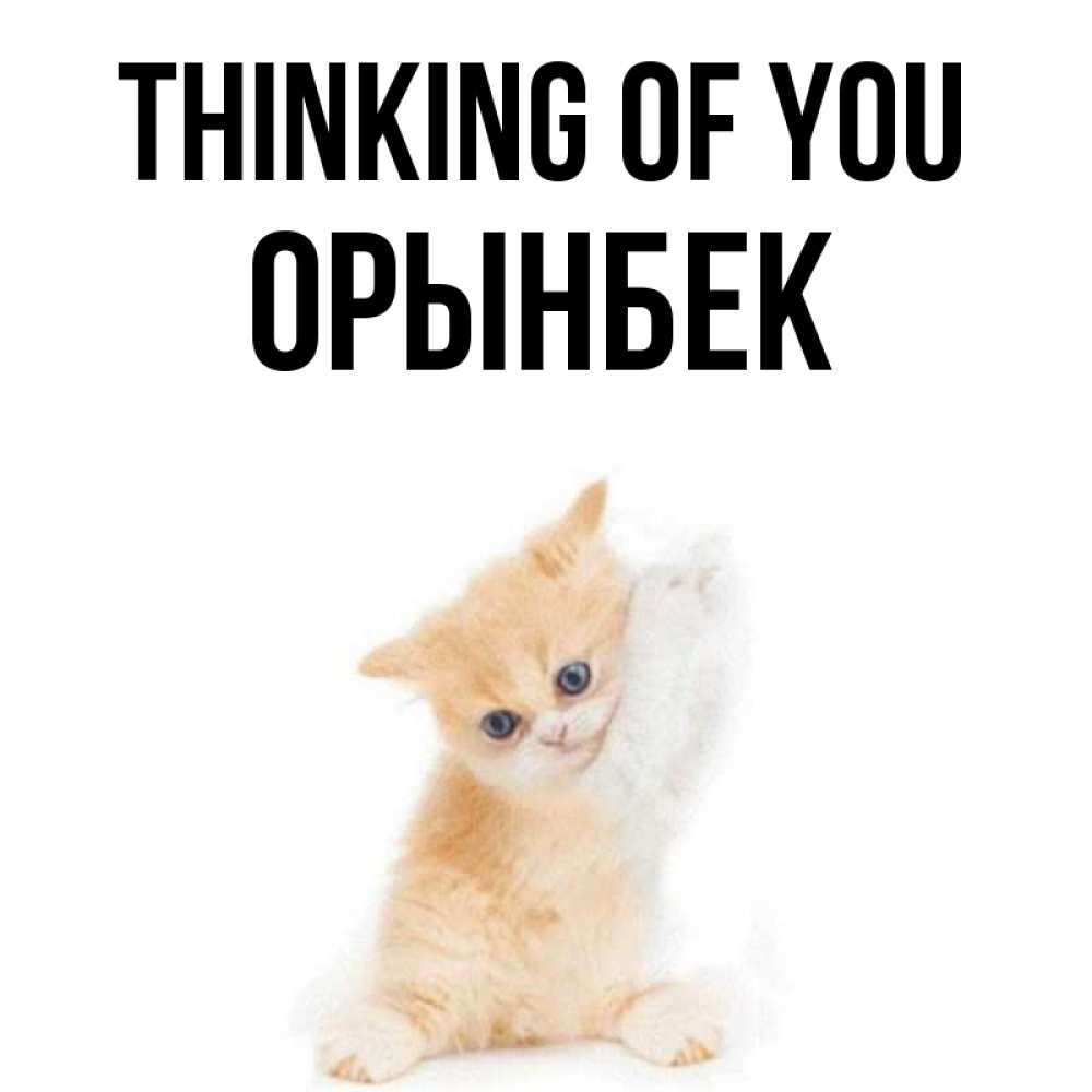 Greetings card с именем, ОРЫНБЕК Thinking of you зверушки и милота Greetings with text for free download 