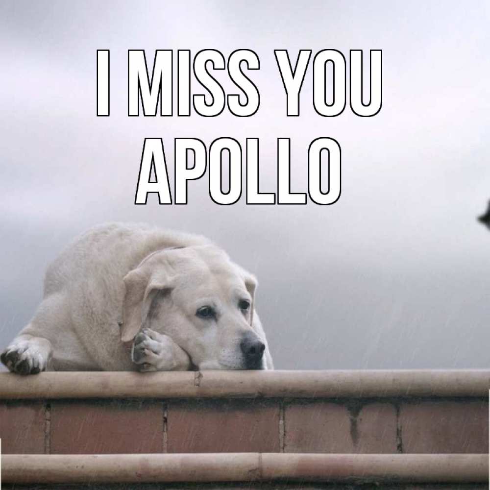 Greetings card с именем, Apollo I miss you ждет Greetings with text for free download 