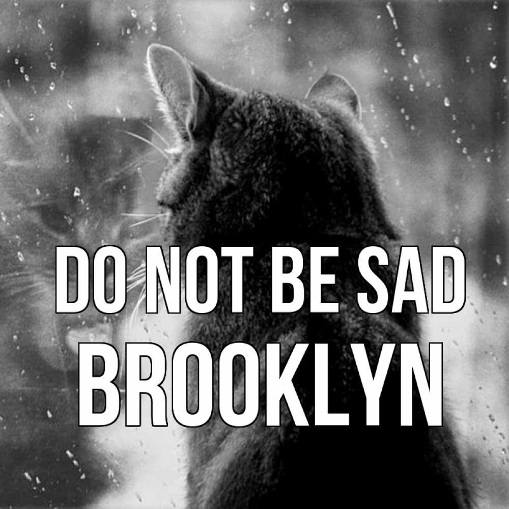 Greetings card с именем, Brooklyn Do not be sad отражение кота 1 Greetings with text for free download 