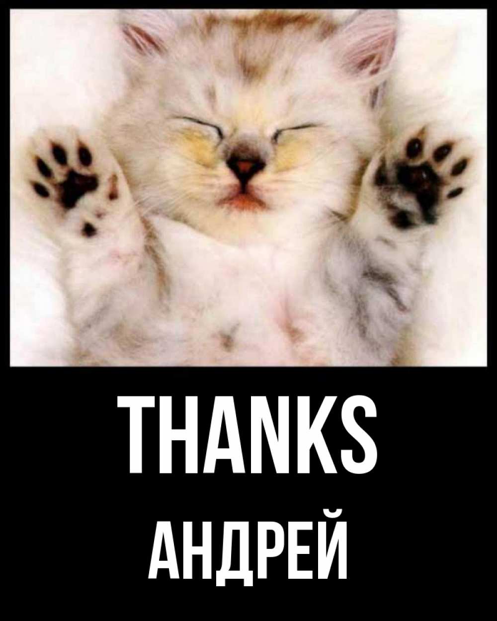 Greetings card с именем, Андрей Thanks маленький котенок Greetings with text for free download 