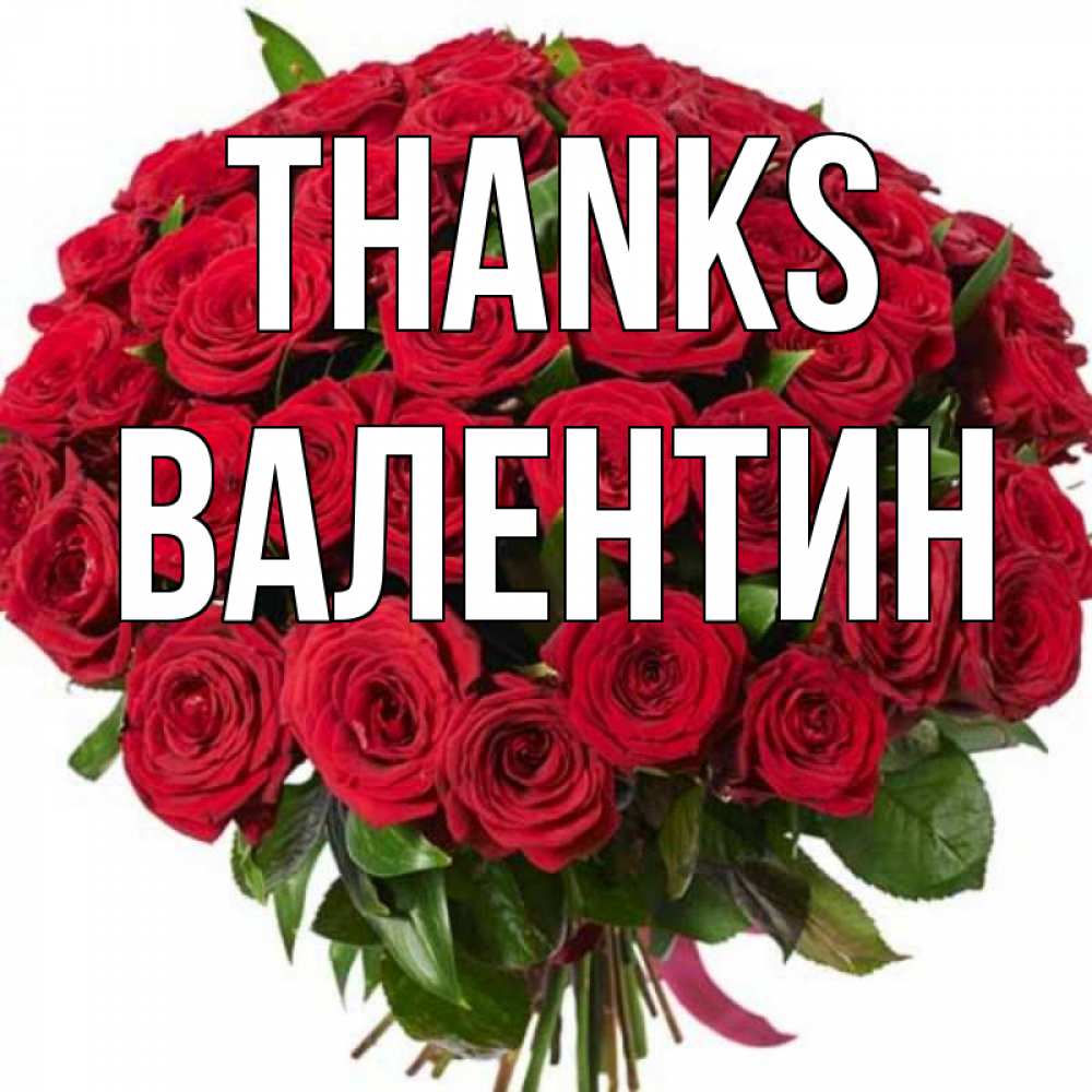 Greetings card с именем, Валентин Thanks букет красных роз Greetings with text for free download 