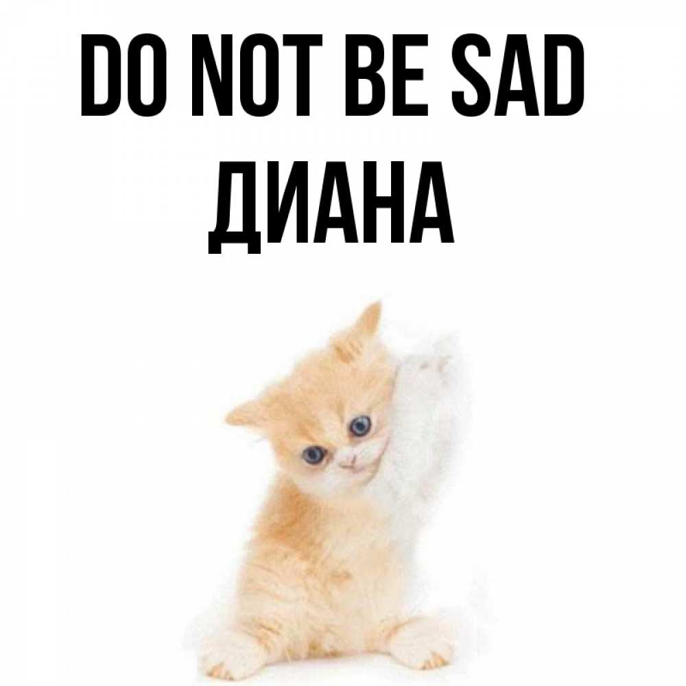 Greetings card с именем, Диана Do not be sad просящий кот Greetings with text for free download 