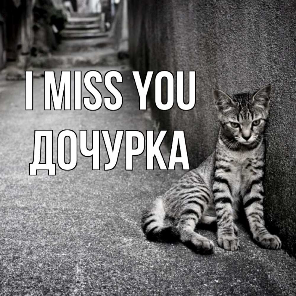 Greetings card с именем, Дочурка I miss you одиноко котику Greetings with text for free download 