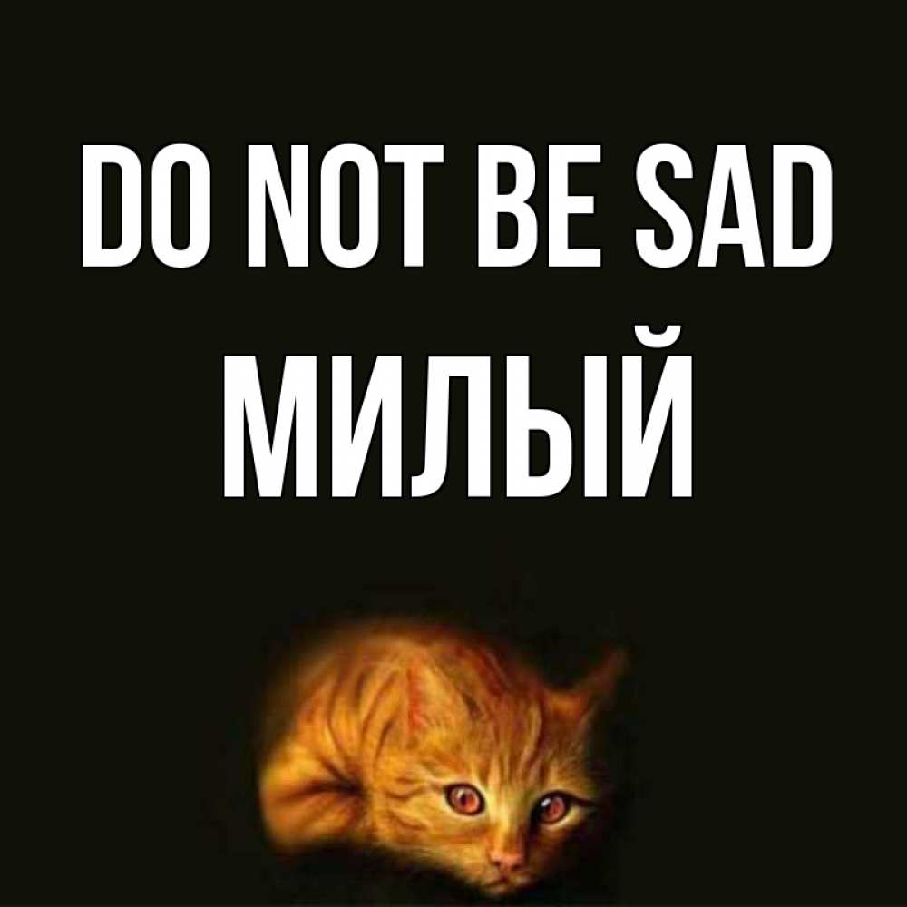 Greetings card с именем, Милый Do not be sad лежащий кот в темноте Greetings with text for free download 