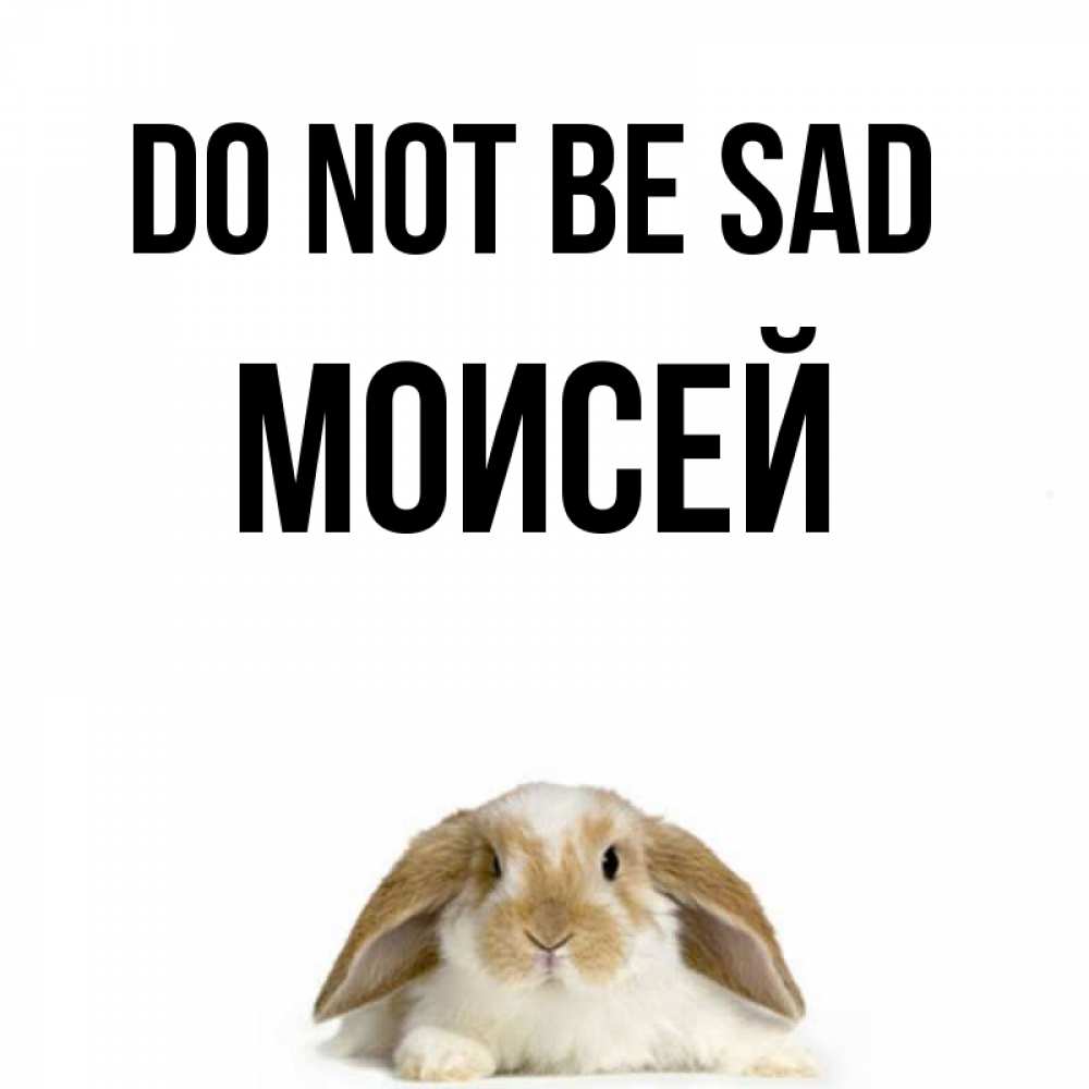 Greetings card с именем, Моисей Do not be sad коричнево белый заяц с большими ушками Greetings with text for free download 