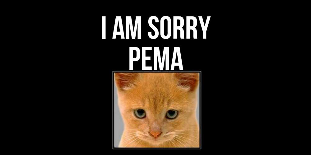 Greetings card с именем, Рема I am sorry рыжий грустный кот просит прощения Greetings with text for free download 